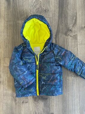 Toddler Dinosaur Jacket 2T